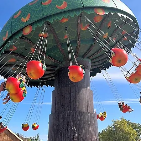 Cigoland キンツアイム