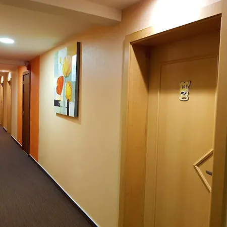 Hotel Cigoland